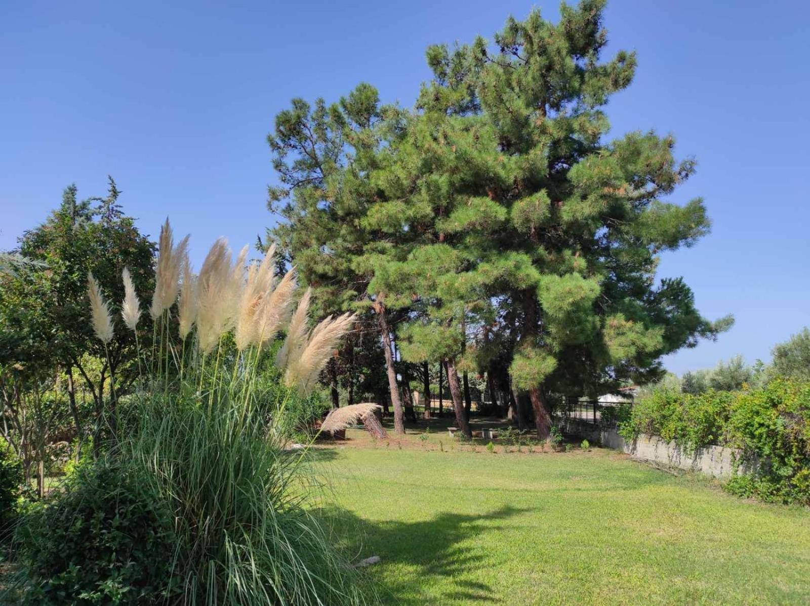 Pond And Pines, By Nice House By The Sea! Epanomi Eksteriør billede